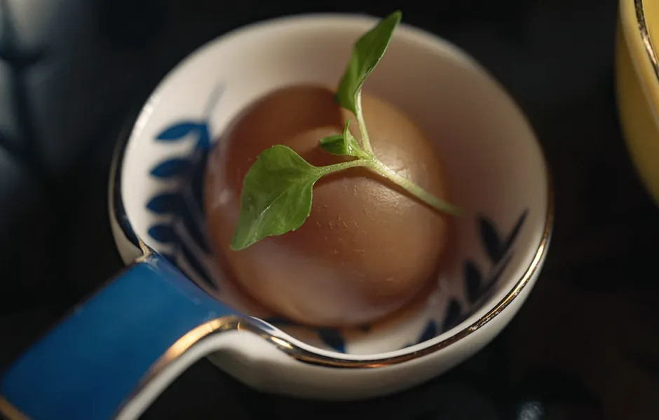 焼鳥 鈴音の前菜の一品